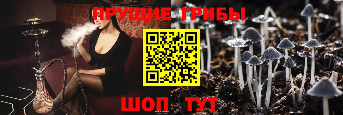 Галлюциногенные грибы MAGIC MUSHROOMS  Вход с VPN  Саров  Псилоцибиновые грибы Psilocybe 